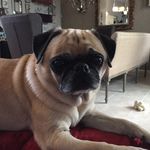 Mavis Davis - @mavisdavispga - Instagram