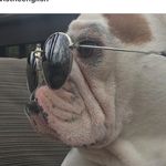 Mavistheenglish - @mavistheenglish - Instagram