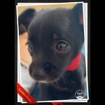 Mavis Gomez - @mavis.s3 - Instagram