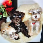 Mavis Hall - @grannymaw65 - Instagram
