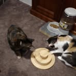 Mavis Hall - Facebook