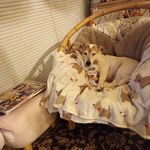 Mavis Hardy - @mavishardy22 - Instagram