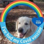 Mavis Harris - @mavis.harris.779 - Instagram