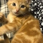 Mavis Jean Hewitt - @mavishewitt - Instagram