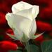 Mavis Hicks - Facebook