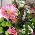 Mavis Hunt - @mavis.hunt - Instagram