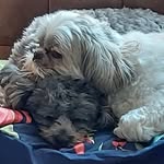 Mavis Hunt - @huntmavis - Instagram