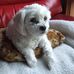 Mavis Kidd - Facebook