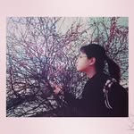 Mavis_Lee - @lee__mavis - Instagram