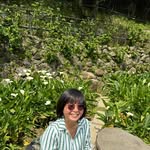 Mavis Lee - @mavislee72 - Instagram