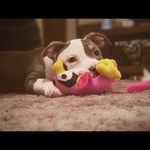 Mavis Mayhem Long - @mavis_mayhem_long - Instagram