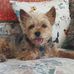 Mavis Mclean - Facebook