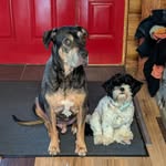 Mavis McLean - @mavismcl - Instagram