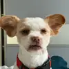 Mavis Morton - @mavis.morton - TikTok
