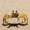 Mavis Parker - @mavygravywavy - TikTok