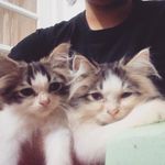 Mavis Ramos - @themalway - Instagram