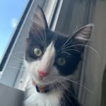 O mavis - @mavis_ramos07 - Instagram