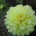 Mavis Raymond - Facebook