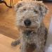 Mavis Rider - Facebook