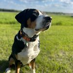 Mavis Roxy Riggs - @mavy_baby_barooo - Instagram