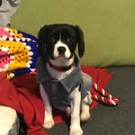 Robert - Mavis - @robert_mavis12 - Instagram