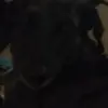 Mavis Rodriguez - @mavis.rodriguez33 - TikTok