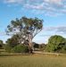 Mavis Sheppard - Facebook