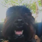 @simon_mavis_ - Instagram