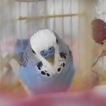 Maviş - @mavis_official_singer - Instagram