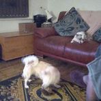 Mavis Slade - Facebook