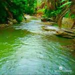Mavis Swift - @mavisswift9541 - Instagram
