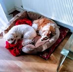 Mavis Tate - Facebook