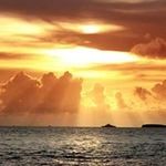 Mavis Taylor - @mavis.taylor.1447 - Instagram