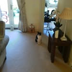 Mavis Thompson - @mavis.thompson.777 - Instagram
