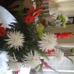 Mavis Wagner - @maviswagner4021 - Instagram