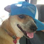 Mavis Wagner - @mavisdacutie - Instagram