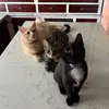 franklinwaltermavis - @franklinwaltermavis - TikTok