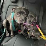 Walter & Mavis - @walter_and_mavis - Instagram