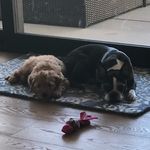 Walter and mavis - @waltermeetsmavis - Instagram