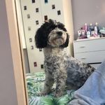 Mavis Young - @mavis.young1 - Instagram