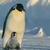 Young Mavis - @young.mavis - TikTok