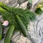 Max & Aaron - @romepickles - Instagram
