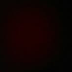 Max Alaniz - Facebook