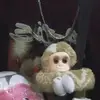 Max Alba - @max.alba2 - TikTok