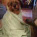 Maxine R. Allred - Facebook