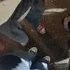 max_alt37 - @max_alt37 - TikTok