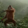 lol hdhrbrbrbbd - @maxandersen3 - TikTok