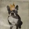Max Aragon - @max.aragon8 - TikTok