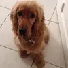 max archer cranston🐶 - @max.c2003 - TikTok