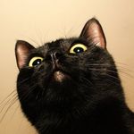 Max_archer_k - @max_archer_k - Instagram